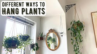 Different Ways To Hang Houseplants In Your Home