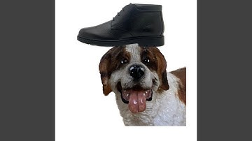 D6 D7 D7sus4 Free Eee