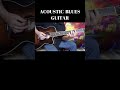 ACOUSTIC BLUES GUITAR #shortsvideo #shortsfeed #shorts #acousticbluesguitar #bluesguitar