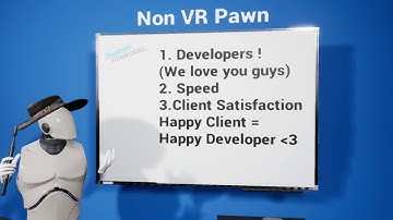 Advanced VR Framework 2.0 - NonVR Pawn Overview