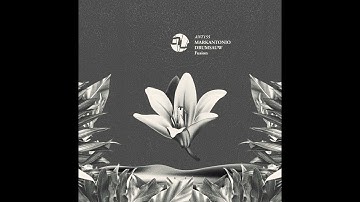 Markantonio - Chromatic (AnalyticTrail, ANT155)