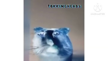 All Preview 2 Cats In Time Warp Scan Deepfakes In G Major 7