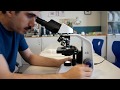 Mastering The Compound Light Microscope Components And Usage