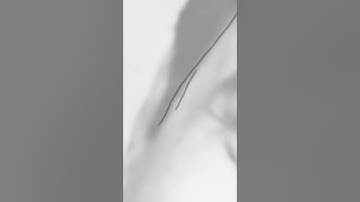 How to sketch in AutoDesk Sketch Book app.