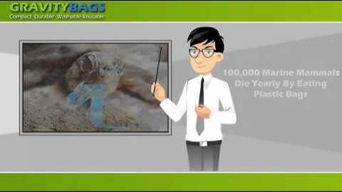 Gravity Bags Demo video | Solly Labs