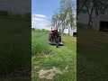 Cutting the Rye