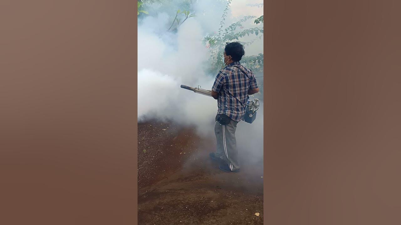 fogging Nyamuk || semburan asap dan gemuruh suara mesin#shorts fogging Nyamuk || semburan asap dan gemuruh suara mesin#shorts