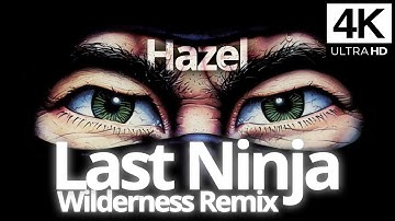 The Last Ninja Wilderness by Ben Daglish | Remix by Hazel | Video by Kim Rom