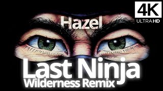 The Last Ninja Wilderness By Ben Daglish Remix By Hazel Video By Kim Rom