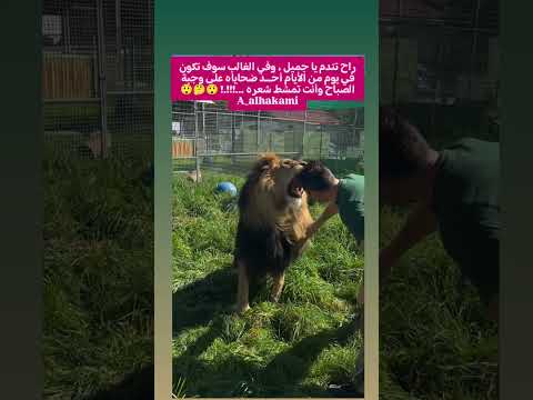 راح تندم يا جميل وفي الغالب سوف تكون في يوم من الأيام أحد ضحاياه على وجبة الصباح وأنت تمشط شعره