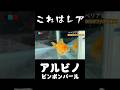 【レア金魚好き?】アルビノピンポンパール