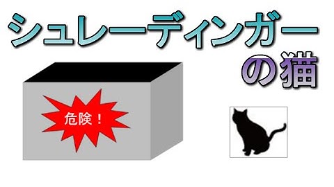 【ガバガバ解説】シュレーディンガーの猫を１分で要約してみた！