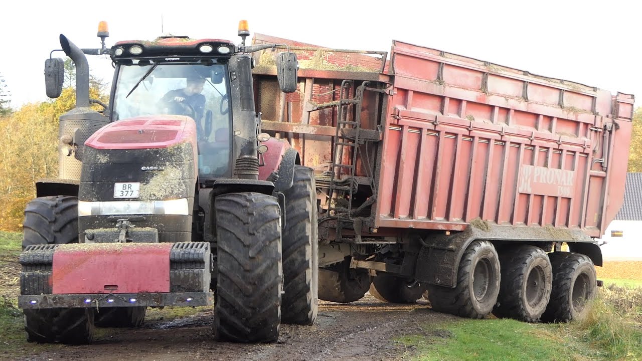 Case IH Magnum 380 in the field during Corn Silage Season | Pure Power Train | DK Agriculture