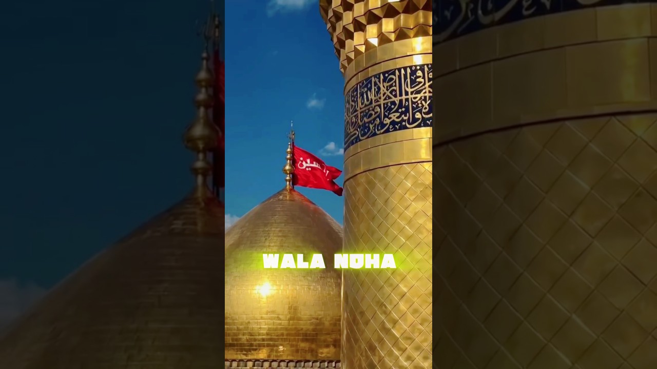 top 5 best iconic Noha for Islam 😍 | Hazrat e Abbas | hoga ya Hussain | Dil e dukhtr 
