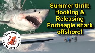 Porbeagle Shark Fishing Expedition: Isle of Wight UK Small Boat: A Glimpse into the Deep Sea Thrills