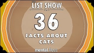 36 Facts About Cats  mental_floss List Show (Ep.221)