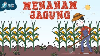 Menanam Jagung di Kebun Bersama | MENANAM JAGUNG - LAGU ANAK