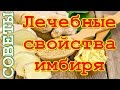 Лечебные свойства имбиря, о которых не все знают