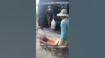 Đầy đủ các loại cá giống nước ngọt. 0909770509 #cá_giống #trại_cá_giống_út_me #traicagiongdongthap