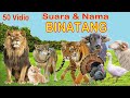 50 binatang dengan suaranya