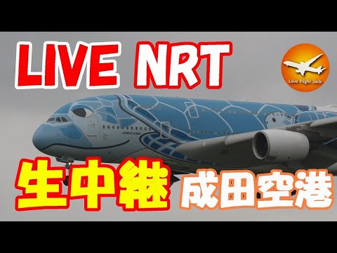 🔴LIVE at NARITA International Airport Plane Spotting　2025.07.31 成田空港ライブカメラ 成田空港　NRT/RJAA