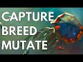 Breed Organic Fleets In Grand Archive! - Stellaris News