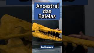 BASILOSSAURO: ANCESTRAL das BALEIAS! #shorts
