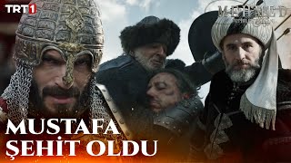 Ferhat Bey, Mustafanın Canını Aldı - Mehmed Fetihler Sultanı 26. Bölüm Trt1