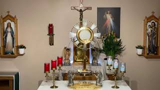 LIVE Eucharistic Adoration  Sisters of Divine Mercy