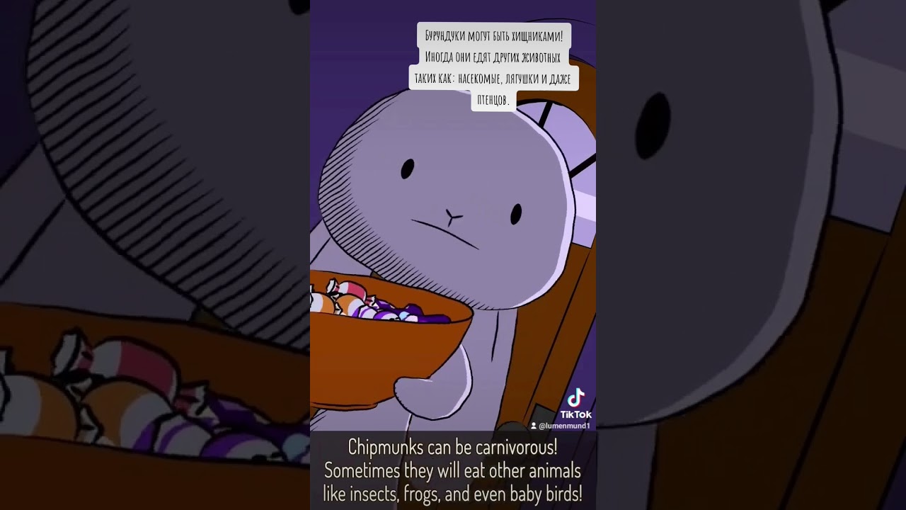 Natural habitat shorts на русском | Бурундуки | ВалерьЯнка project