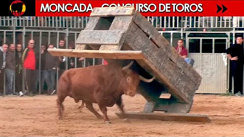 CONCURSO DE TOROS ◾ MONCADA ◾  (Benavent / Alba Atenea / F.Machancoses/ G.Vidal / Parejo / H. Cali)