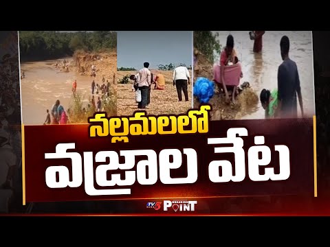 Kurnool : నల్లమలలో వజ్రాల వేట | Public Hunt For Diamonds in Nallamala | TV5 News - TV5NEWS