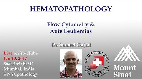 Hematopathology: Flow Cytometry and Acute Leukemias