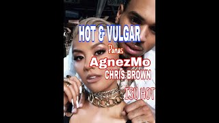HOT ADEGAN PANAS AGNEZMO - CHRIS  BROWN