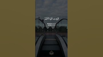 عمر محجوب | سورة الحديد