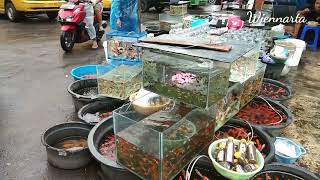 Pasar ikan