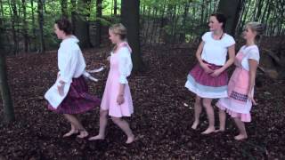 VON WEIDEN (Crystal Pasture) - Jägerblut (Offizielles Video)