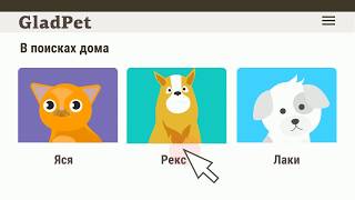 Как работает gladpet.org Как работает gladpet.org