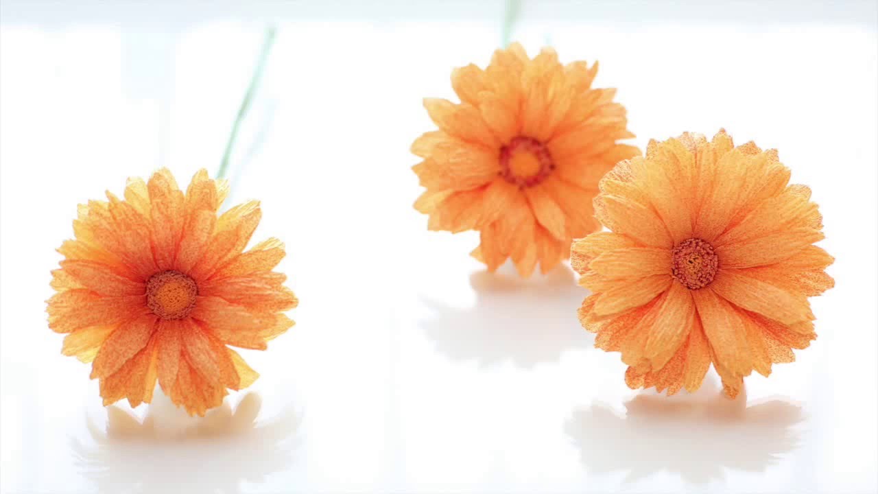 crepe paper flowers gerbera daisy easy simple full how to make a flower with paper