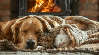 Fall asleep to the Purring of a Cat & Fireplace 🔥 Deep Sleep, Relax, Study, Stress Relief