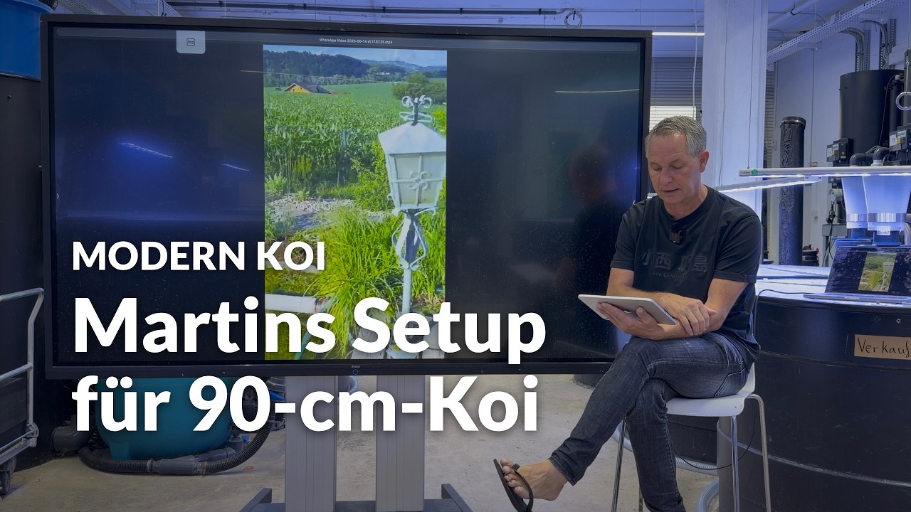 So würde Martin heute einen Teich für Jumbo-Koi bauen | Modern Koi Blog #8254