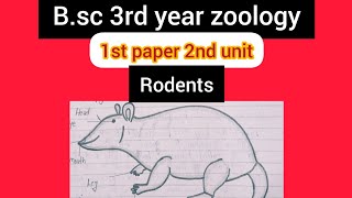 Rodents B.sc 3rd year zoology 1st paper || damage by rodent & control on rodents ||#youtubevideo