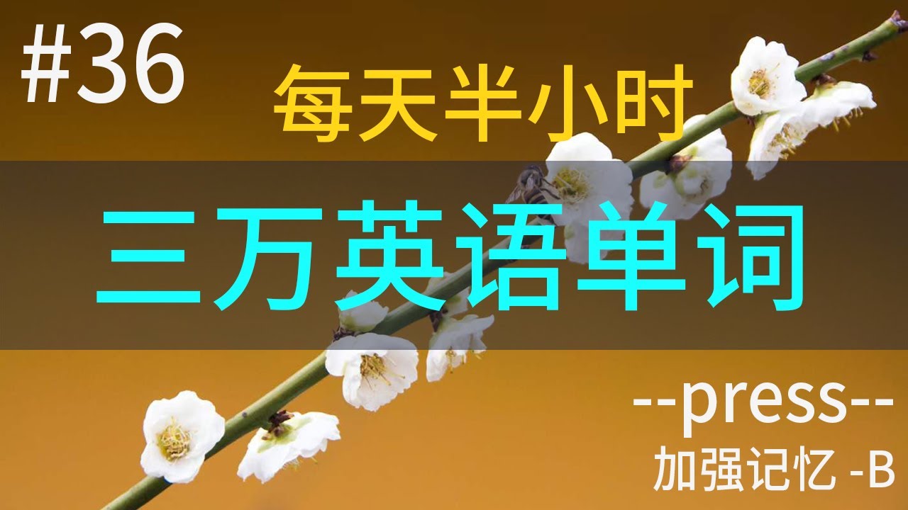 【目标 学会三万英文单词 #36 】每天半小时, 你也可以学会 | 词根 010--press--加强记忆 -B | 学词根,知词义,英语单词 ...