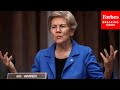 &#39;It Also Drowns Out Competition&#39;: Elizabeth Warren Highlights Inequality Between Medicare Insurers