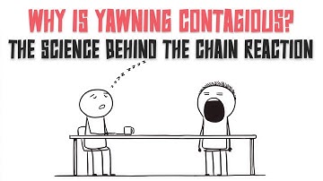 Why Is Yawning Contagious? (The Surprising Science Explained)