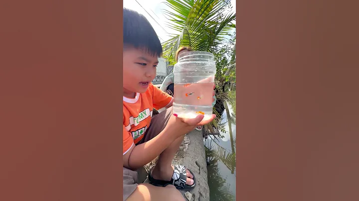 Lý do Vinh phóng sanh hết cá cảnh đẹp mà Vinh yêu quý #shorts