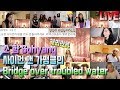 소향Sohyang - 사이먼 앤 가펑클의'Bridge over troubled water' LIVE 해외반응 REACTION!