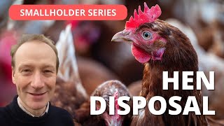 How to Dispose of a Dead Hen - what we do to send her on her way. by My Country Life 427 views 1 month ago 6 minutes, 38 seconds