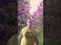 je suis dans un endroit des fleurs