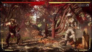 Celebrity MK11: Sub Zero slide conversion Wealth